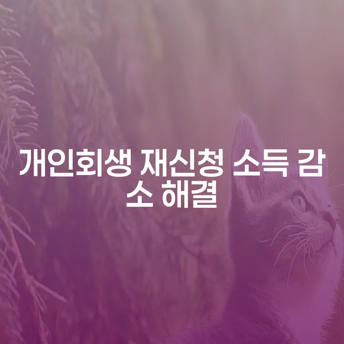 개인회생 재신청: 소득 감소를 해결하는 방법은?